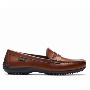 Paraboot Corvette Loafers Dam Bruna | IBJ-783429