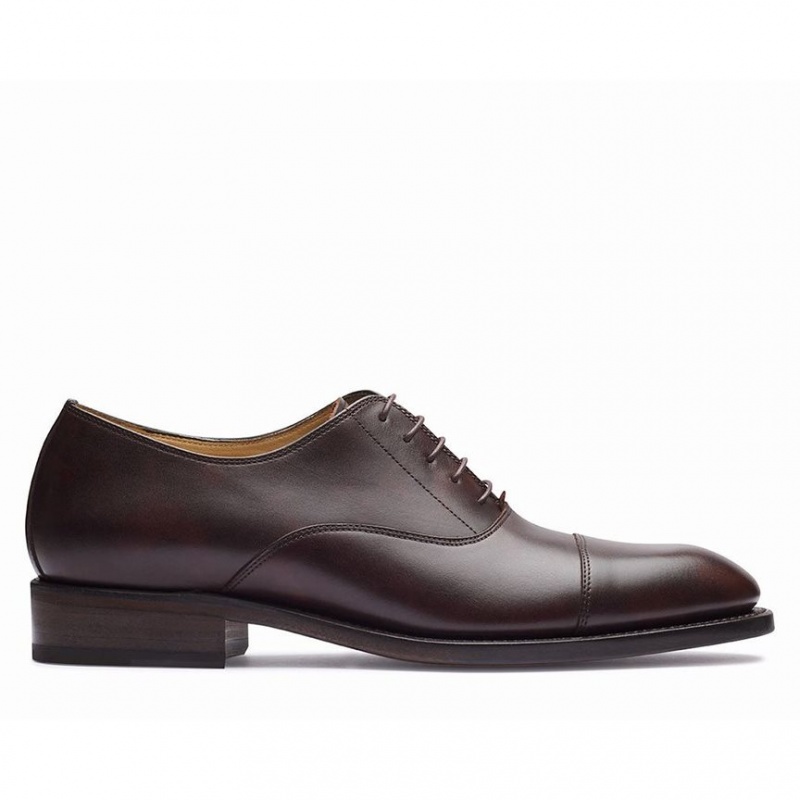 Paraboot Montaigne Gy Oxford Skor Herr Mörkbruna | FMX-315840